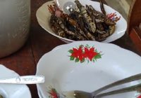 VIRAl Video TikTok: "Risiko Kirim Peket di Desa", Kurir Diajak Makan Bareng