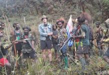 Pencarian Pilot Susi Air Diperluas Hingga Tiga Kabupaten