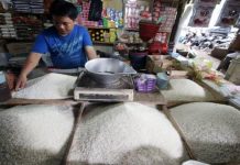 Terungkap, Harga Beras di Tapin Masuk 10 Besar Tertinggi di Indonesia, Pemprov dan Kadin Ambil Tindakan