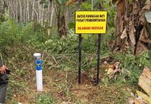 Dibeli Seharga Rp 180.000 Per M2 untuk IKN, Warga Desa Bukit Ngotot Tak Setuju, "Saya Mau Rp 2-3 Juta Per M2"