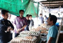 Pemerintah Bagikan Telur dan Daging Ayam Bagi 1,4 Juta Keluarga untuk Turunkan Stunting
