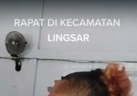 VIRAL! Kades Rambut Pirang Model Mohawk Gaya Anak Punk Ikuti Rapat