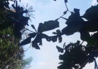 Satu Rumah dan Dua Motor Hangus di Desa Pengalaman Kabupaten Banjar