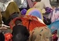 Viral! Bocah Payungi Ibunya yang Sedang Shalat Kehujanan Saat Haul Ke-3 Guru Zuhdi