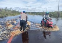 Pemotor Terjebak Banjir di Trans Kalimantan, Satlantas Kapuas Lakukan Ini