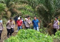 Bocah 8 Tahun Diculik dan Dipukuli Pakai Kayu hingga Tewas, Lalu  Remaja Ini Minta Tebusan Rp100 Juta
