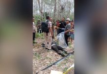Penembak Lansia di Desa Mangkauk Masih Bebas, Kapolda Kalsel: 3 Lagi Pelaku Pembunuhan Sadis Diciduk