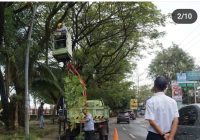 Jelang Banjarmasin Sasirangan Festival, Dishub Optimalkan PJU di Jalan Piere Tendean
