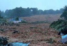 Kisah Korban Tanah Longsor Dahsyat di India: Semalam Berlindung di Bukit Bersama Gajah Liar