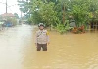3 Desa Terendam Ratusan Jiwa Terdampak di Banjir Kabupaten Balangan
