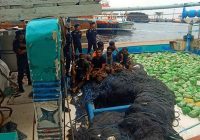 Bongkar Jaringan Golden Crescent di Laut Jawa, BNN Amankan 319 Kg Sabu dan 8 WN Iran
