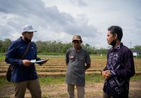 PLN Bantu Sistem Pengairan Kepada Gapoktan Kayuh Baimbai, Hasil Panen Berlipat Tarik Perhatian Negara Lain