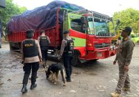Antisipasi Penyelundupan, Balai Karantina Pertanian Kelas I Banjarmasin Gelar Operasi Gabungan