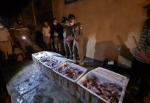 Diduga Selundupan, 200 Kilogram Iga Sapi Tanpa Dokumen Diamankan di Pelabuhan Trisakti