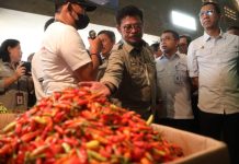 Awal Ramadhan Harga Cabai Melonjak, di Kalsel Juga Terkerek