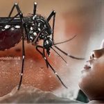 Musim Hujan Waspada DBD, Capai 1.239 Kematian
