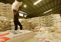 Apakah Stok Beras Kosong hingga Bulog Ditugaskan Seepatnya Impor 500.000 Ton