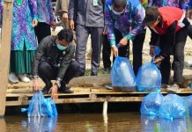 Lestarikan Ikan Spesifik Lokal, Pemkab Balangan Siapkan Lahan Sentra Budidaya