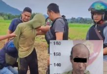 Pelaku Penganiayaan Berat di Desa Kunyit Bajuin Ditangkap Polsek Pelaihari di Tengah Sawah