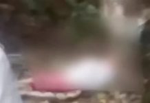 Perempuan Penyadap Karet Tewas Dililit Piton, Diduga Hendak Disantap