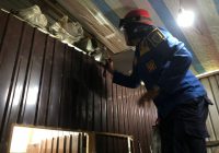 Hiii, Ular Kobra Sembunyi di Plafon Rumah Warga Jalan Cempaka Martapura
