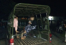 Dua Pasang Pria dan Wanita Pesta Tuak Dalam Kamar Kos Diamankan Satpol PP Tala