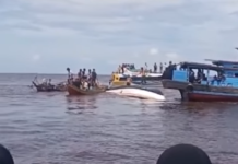 Kapal Tujuan Tembilahan - Tanjung Pinang Terbalik, Penumpang Terjebak di Dalam Palka