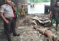 BREAKING NEWS Diduga ODGJ Terjatuh dari Jembatan RK Ilir Banjarmasin