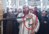 Hebohkan Media Sosial, Video Viral Aksi Menggemaskan Kucing Ganggu Imam Salat Jemaah
