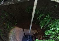 2 Biawak di Dalam Sumur Hebohkan Warga Jalan Lestari Desa Indrasari Kabupaten Banjar