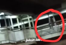 Viral Wanita Aksi Nekat Wanita Loncat dari JPO