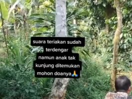 Video Balita Hilang Misterius, Teriakan Terdengar Meski Tak Ditemukan