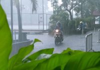 Musim Karhutla, BMKG Prediksi Kalsel Hujan Sepekan ke Depan