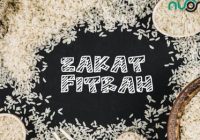 Kemenag Umumkan Besaran Zakat Fitrah dan Fidyah Ramadhan 2026 untuk Kabupaten Tapin