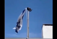VIRAL! Burung Gagak Patuk Bendera Israel Hingga Lepas dari Tiang