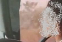 Viral! Bocah Menyopir Dumptruck di Jalan Hauling Diduga Terjadi di Kabupaten Tapin