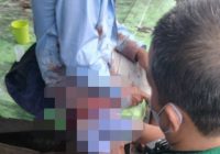 BREAKING NEWS: Penusukan di Taman Sari Pasar Baru Dekat Minseng, Pria Alami Luka di Paha