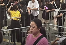 Heboh Wajah Mirip Puan Maharani Berada di Tengah Konser BlackPINK di Singapura