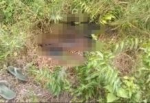BREAKING NEWS: Diduga Mayat Ditemukan di Jalan Lingkar Banjarbaru Dekat Bandara