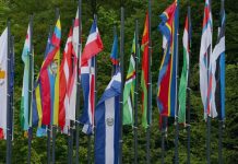 FIFA Sampaikan Belasungkawa Insiden El Salvador, Kibarkan Bendera Setengah Tiang