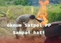 Viral! Satpol PP Bakar Ikan Pedagang Menjelang Kunker Gubernur, Warga: "Terlalu Sekali, Sampai Hati"