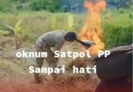 24052023_Satpol PP Kabupaten Alor membakar ikan milik pedagang. (wartabanjar.com - Ist. via @kabarnegri)