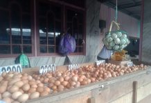 STOK TELUR MELIMPAH! Bapanas Pastikan Pasokan Nasional Aman hingga Ramadan 2026, Produksi Dalam Negeri Surplus Besar