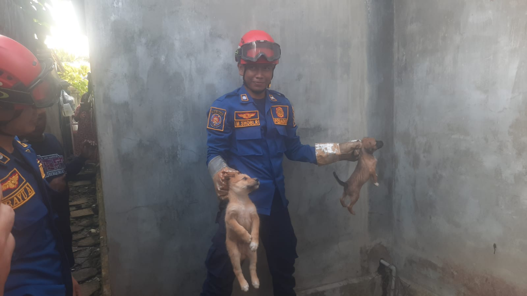 29052023_Evakuasi anak anjing oleh tim animal rescue DPKP Kabupaten Banjar di Jalan Menteri 4 Martapura, Minggu 28 Mei 2023. (wartabanjar.com - MC Banjar)