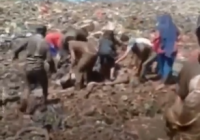 Heboh, Warga Mengais Sampah Ambil Daging Beku Ilegal Asal India yang Dimusnahkan Bea Cukai