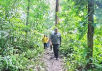 Momen Langka Menpora Jajal Bukit Lawang Bertemu Orang Utan