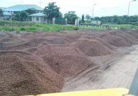 Pemprov Kalsel Analisis Cangkang Kelapa Sawit Jadi Sumber Energi Alternatif