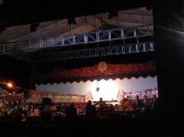 Wayang Kulit Meriahkan HUT ke-24 Banjarbaru di Lapangan Murjani