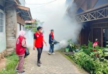 31 Kasus Demam Berdarah di Kabupaten Balangan