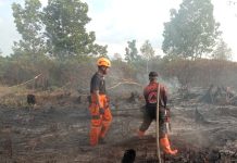 BPBD Kalsel Telusuri Titik Api Usai Kebakaran Lahan di Banjarbaru